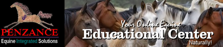 Horse Courses Online